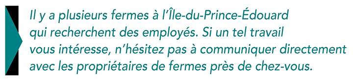 FermeGallant2
